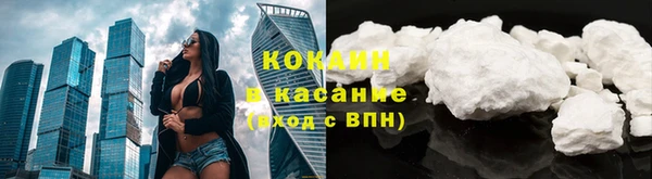 молекула духа Арсеньев