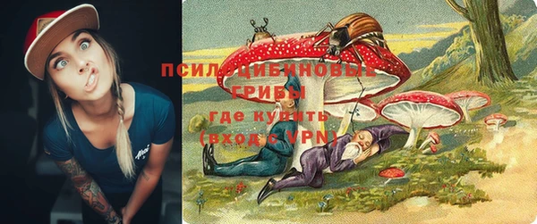 молекула духа Арсеньев