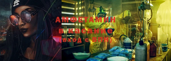 молекула духа Арсеньев