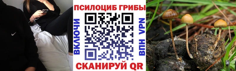 мориарти телеграм  Солигалич  Псилоцибиновые грибы MAGIC MUSHROOMS 